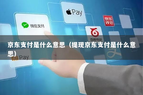 京东支付是什么意思(提现京东支付是什么意思)