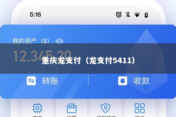 重庆龙支付(龙支付5411)