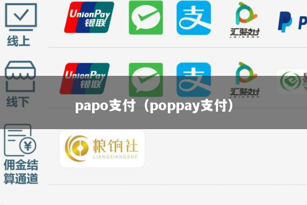 papo支付(poppay支付)